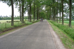 IMG_0389_2