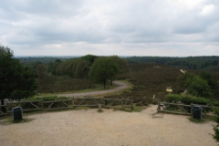IMG_0410_2