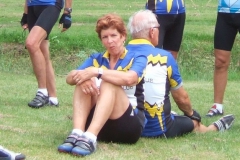 3d20070071